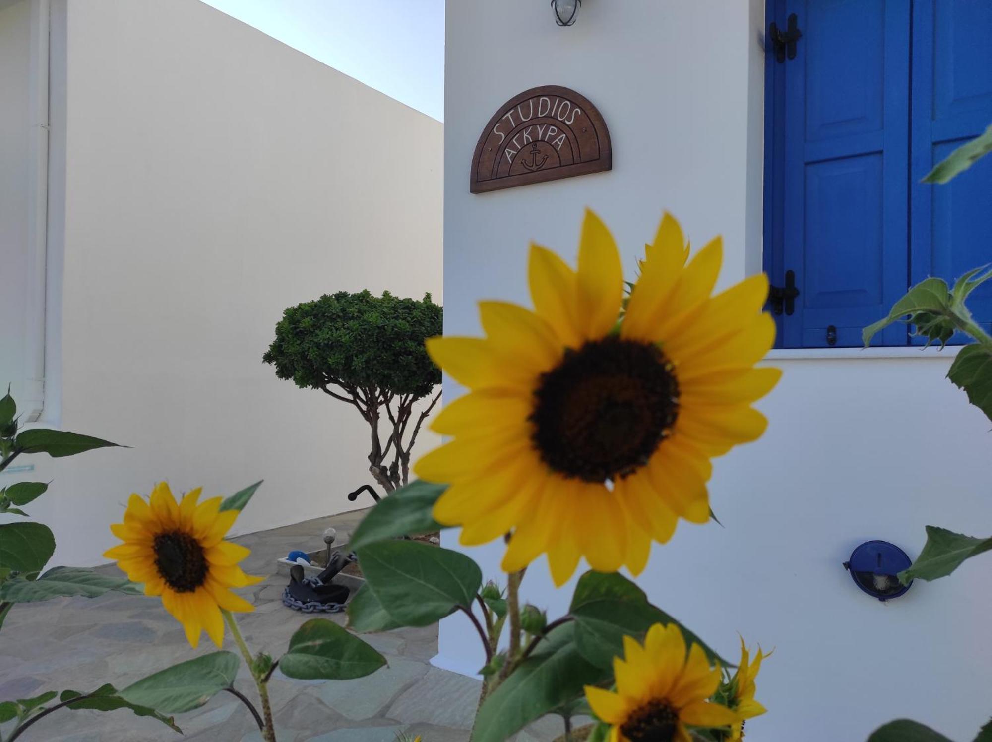 Studios Αγκυρα Livadi  المظهر الخارجي الصورة